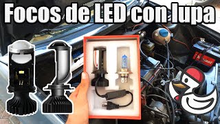 Focos LED de lupa para Lola