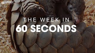 UNODC 60 second weekly wrap-up video – 24/04/2020