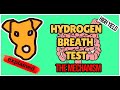 Mechanisms: Hydrogen Breath Test.  Genetal Principle.