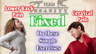 Lower Back Pain and Cervical Pain kese theek kare | Indian Calisthenics | Team Insanity |