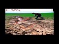 Understanding the Impact of Different Types of Soil Erosion: A Comprehensive Analysis