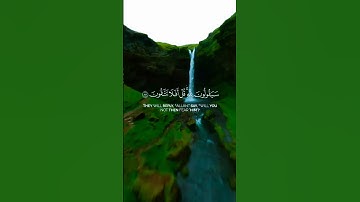 الشيخ ياسر الدوسري تلاوة القرآن الكريم #اكسبلور