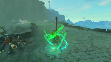 [DAY 478] of finding one korok seed in TotK everyday until we get them all