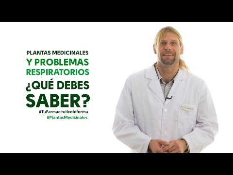 Video: 4 formas de usar hierbas para refrescar el aire