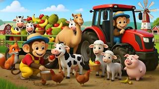 👉 Monkey Farmer Fixes Tractor 🚜 and The Windmill🎡- Farm Work | Funny Monkey Kids