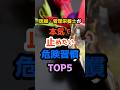 医師がヒヤッとする習慣