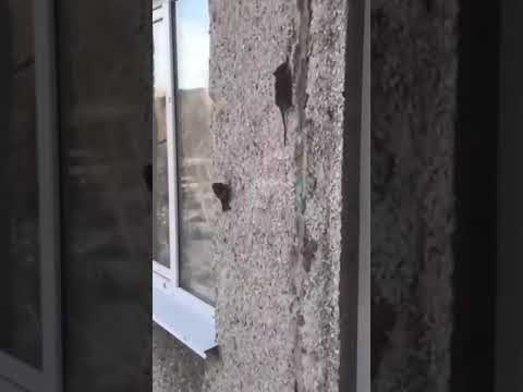 Видео: Могут ли мыши лазить по стенам?