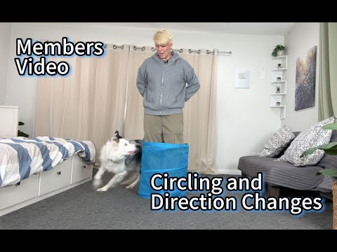 Circling and Direction Changes - Members Video March 2025