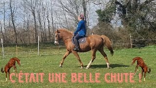 Séance || ont montent les rouquines entre mère et fille 👩‍👧