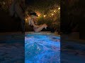 Under the stars, feeling like a midnight cowgirl | Paris Hilton