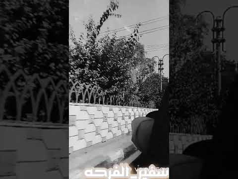 في ليلي قدامي مرايه غيمه سوده في عيني حلات واتس قصيره استوري سيارات