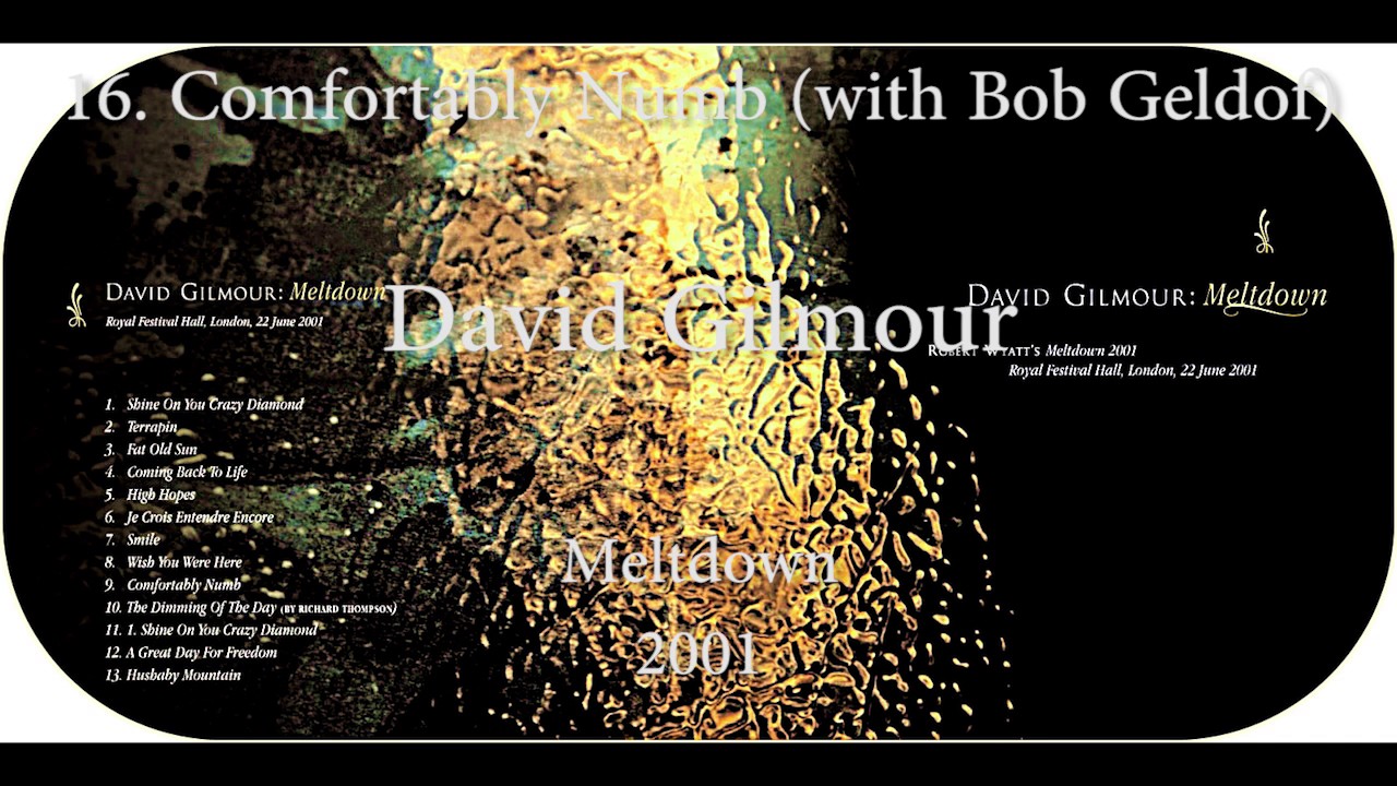 David Gilmour 16 Comfortably Numb With Bob Geldof Meltdown