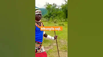 MWESHIMIWA Mkungila Saji 