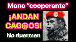 🔥¡HORACIO MEDINA TRAIDOR! (BONOS PDVSA) LEROY GARRETT🔥