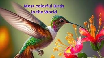 Most colorful Birds in the World | Beautiful Bird Sounds Nature Relaxation 4K UHD