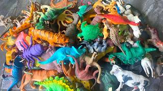 ASMR Animal & Dinosaur Toys | Satisfying Tapping and Dropping Sounds | No Talking