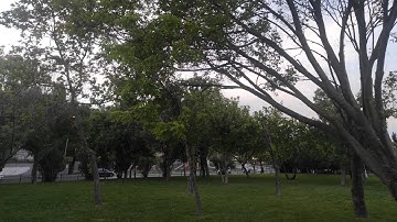 اذكار الصباح والمساء من طرق اسطنبول الخلابة 🌤🌍     istanbuldan sabah zikkirleri 🌿🌅