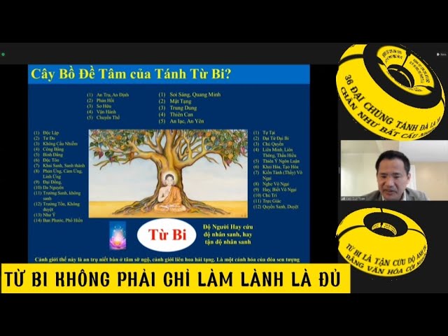 Outline Video CÂY BỒ ĐỀ TÂM CỦA TÁNH TỪ BI LÀ GÌ? || TỪ BI LÀ TẬN CỨU ĐỘ ĐỒNG BÀO ANH EM BẰNG VĂN HÓA CỘI NGUỒN
