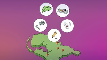 Soft Robotics - 4TU HTSF  Research Programme