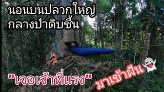 นอนบนปลวกสูงใหญ่..เจ้าที่แรง.!!.มาเข้าฝัน Survival in the forest ep 40 [นาย คนเดินป่า]