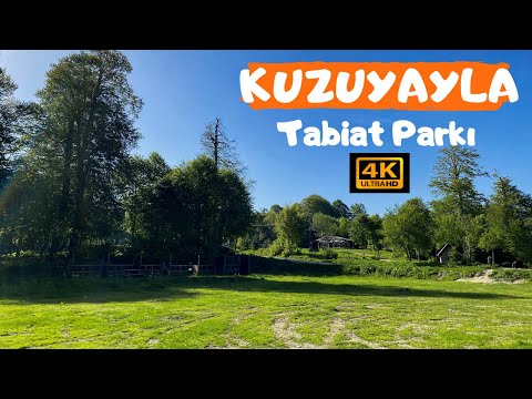 KUZUYAYLA TABİAT PARKI Kartepe-Kocaeli I Kamp Alanı - Piknik ve Yürüyüş