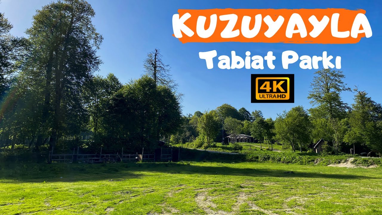 KUZUYAYLA TABİAT PARKI Kartepe-Kocaeli I Kamp Alanı - Piknik ve Yürüyüş