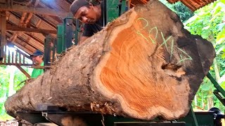 The stunning beauty of teak wood grain that appears once every 100 years in a sawmill 