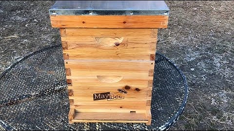 MAYBEE BEE HIVE- Unboxing and assembly