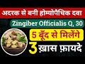 अदरक से बनी होम्योपैथिक दवा Zingiber Q homeopathic medicine Ginger homeopathic medicine #RxHpathy