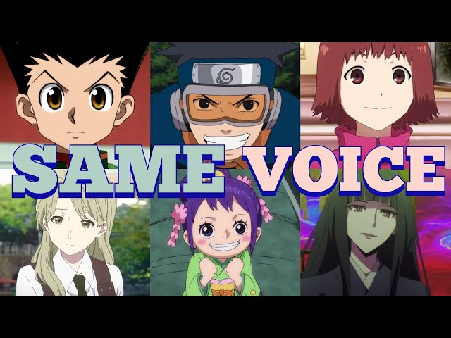 Hunter X Hunter (2011) voice actors  Hunter x hunter, Hunter anime, Voice  actor