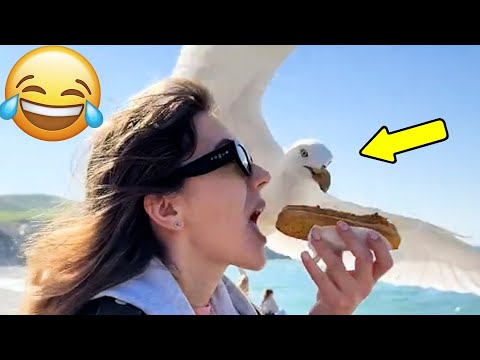 Я РЖАЛ ДО СЛЕЗ😂 15 Минут ОТБОРНЫХ ПРИКОЛОВ 2025 Смешные видео - Лучшие ПРИКОЛЫ #138