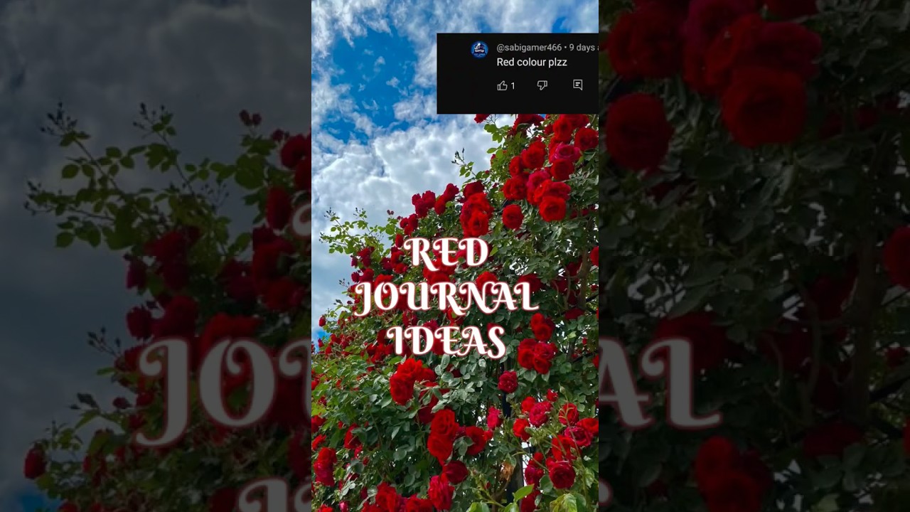 Red journal ideas 🌼|