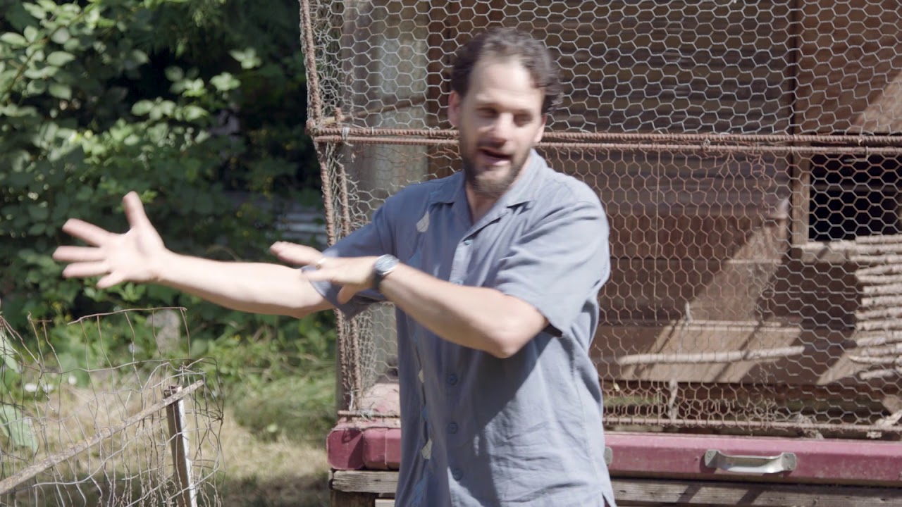 Backyard Permaculture Chicken Rotation System - YouTube