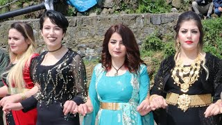 osman & hasret düğünü kurdish wedding uludere düğünleri Resimi