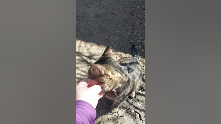 золотой ребёнок🤣