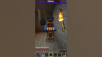 Wandering Trader Meme #shorts