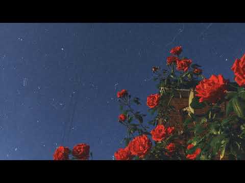 Mounim Slimani Wayli Speed Up منعم السليماني وايلي سريع