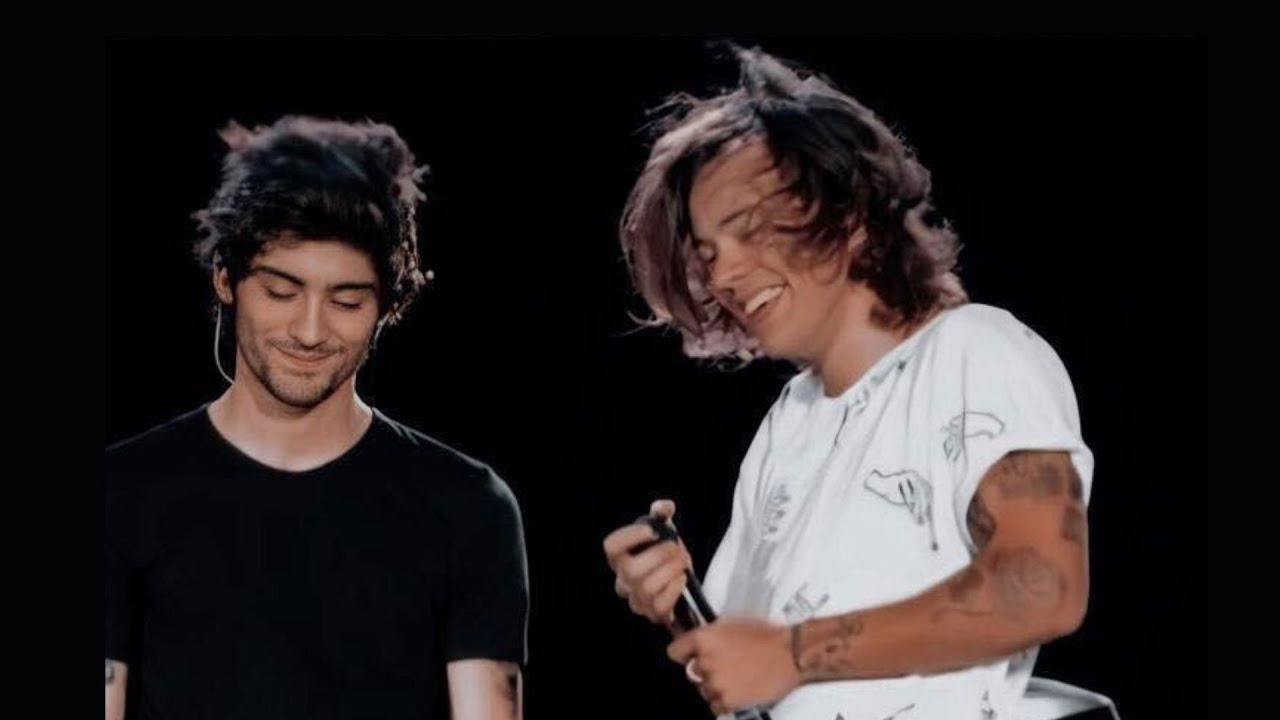 Harry and Zayn were each other's person in the band