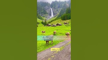 آية الكرسي - للقارئ إسلام صبحي #قرآن #قران_كريم #اسلام_صبحي