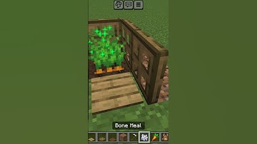 How to make a rabbit trap in Minecraft
