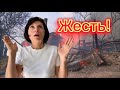 Не каждый день такое увидишь! Самое время копать! Идём в парнушку!