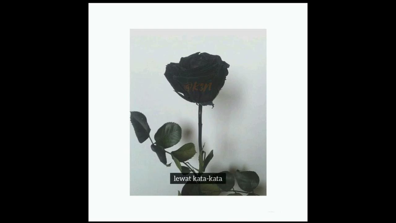 Stori WA Ungu | Asmara Terindah