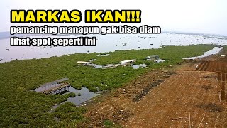 ini nyata bukan cuma cerita mancing ikan nila secukupnya saja || mancing mania cirata