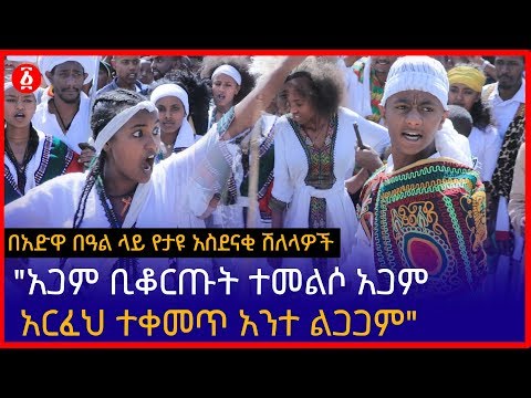 ቪዲዮ: በአፓርታማ ውስጥ እና በእንስሳት ላይ ቁንጫዎችን እንዴት ማስወገድ እንደሚቻል