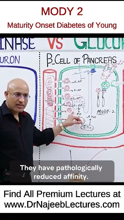 MODY 2 / Maturity Onset Diabetes of Young #drnajeeb #drnajeeblectures #shortvideo #youtubeshorts