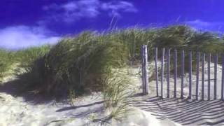 Cape Cod Jewelry: How to Measure for Cape Cod Bracelet