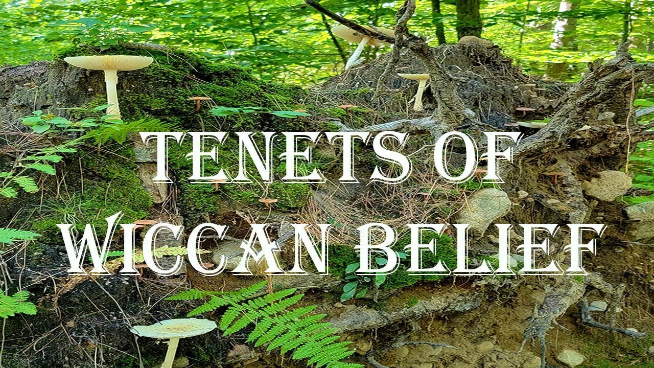 EP60 The 13 Principles of Belief