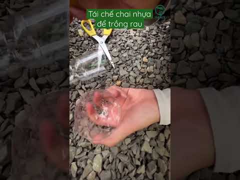 Video: Lớp phủ thủy tinh giảm - Cách sử dụng kính tái chế trong vườn