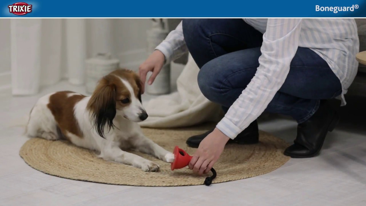 TRIXIE - Boneguard Kausnackhalter mit Seil für Hunde