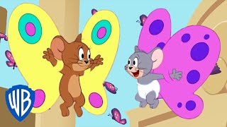 Tom & Jerry | If Mice Could Fly | WB Kids